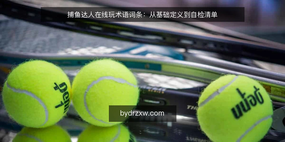 捕鱼达人在线玩术语词条：从基础定义到自检清单 — 为什么现在需要核对术语 配图