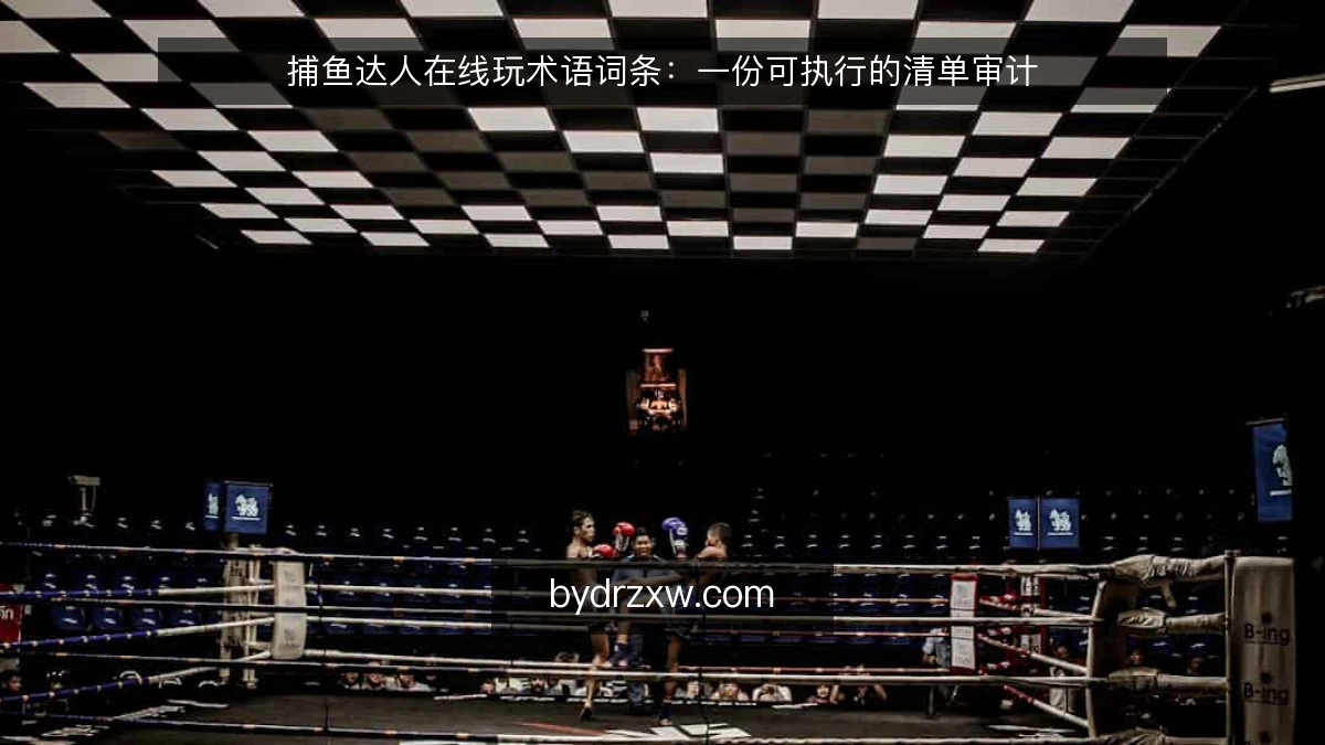 捕鱼达人在线玩术语词条：一份可执行的清单审计