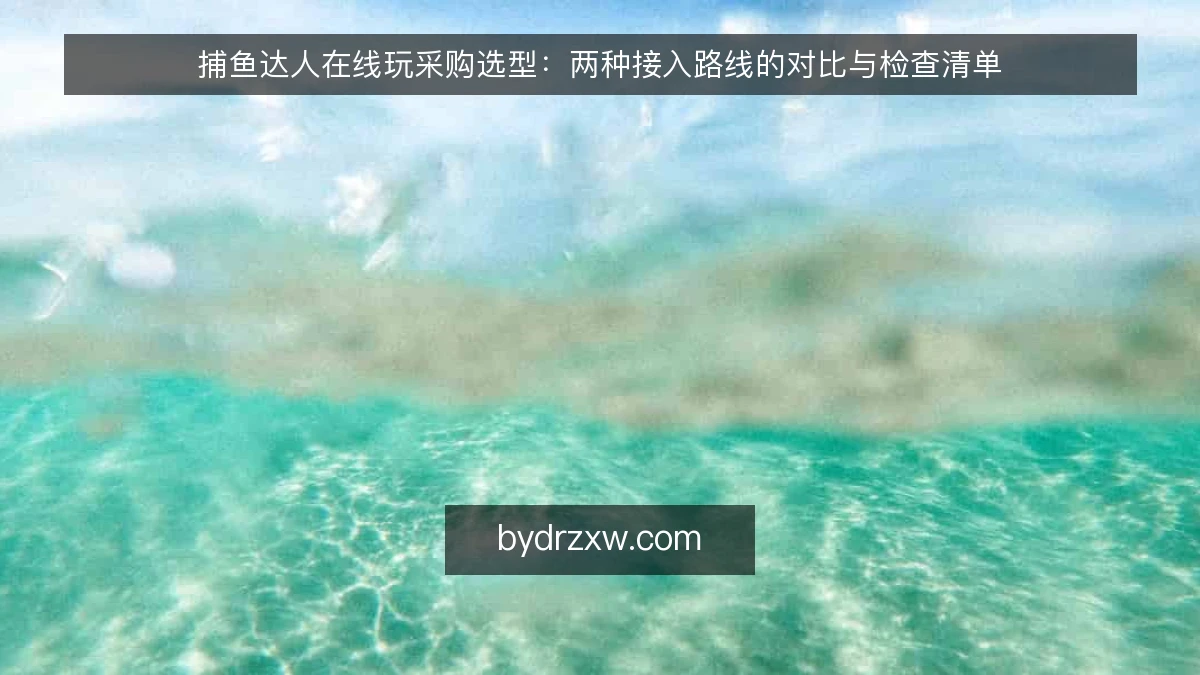 捕鱼达人在线玩采购选型：两种接入路线的对比与检查清单