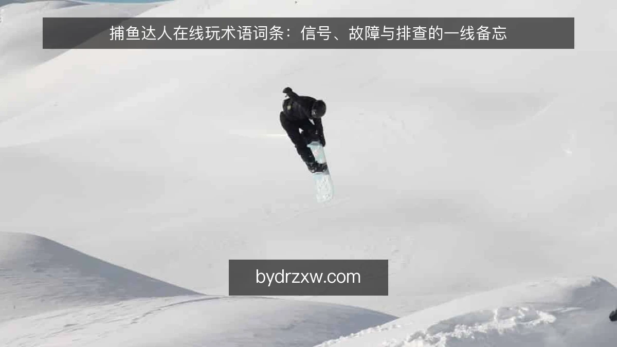 捕鱼达人在线玩术语词条：信号、故障与排查的一线备忘