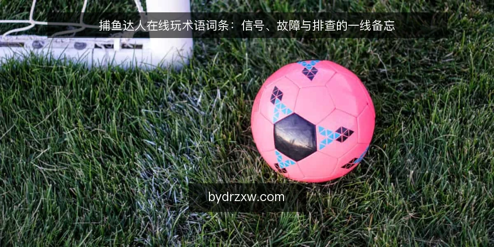 捕鱼达人在线玩术语词条：信号、故障与排查的一线备忘 — 先认信号：哪些术语值得盯 配图